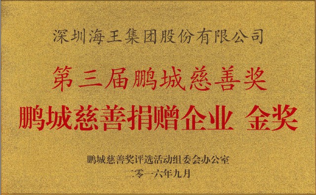 7第三屆鵬城慈善獎—企業(yè)金獎.jpg
